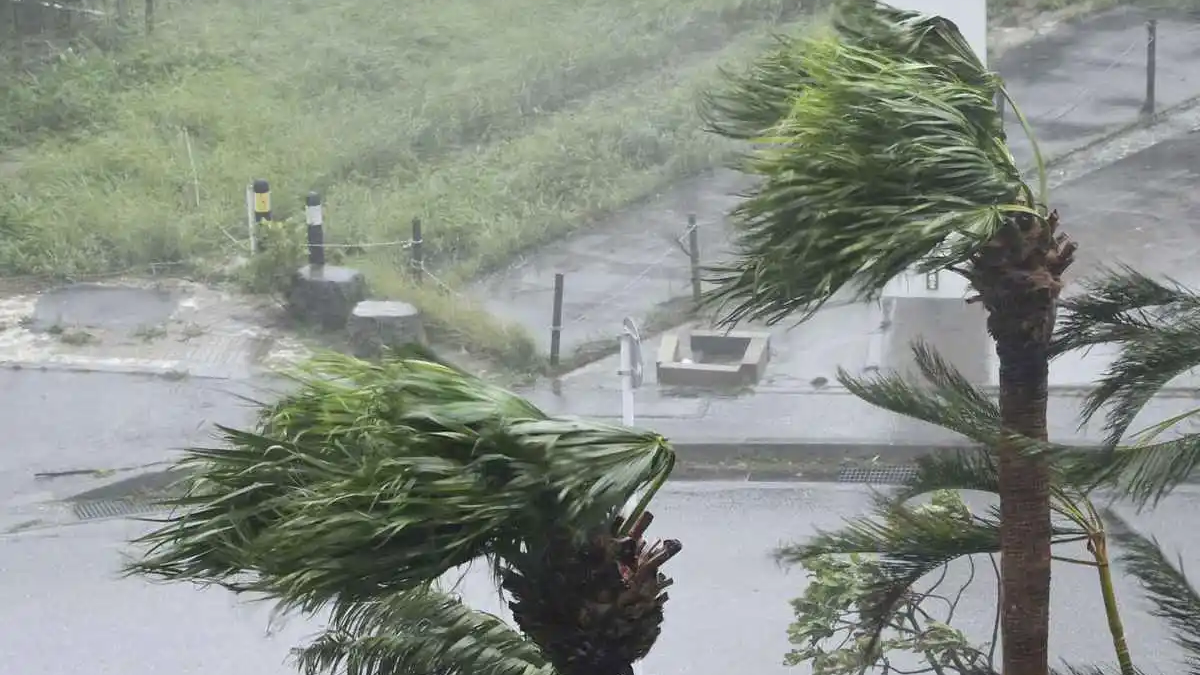 沖縄台風
