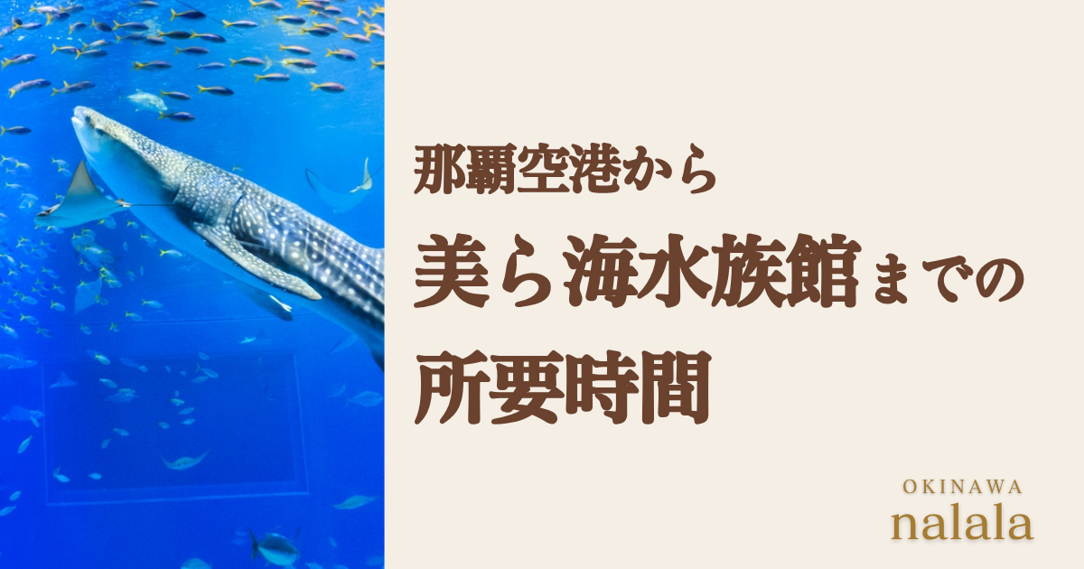 美ら海水族館までの所要時間